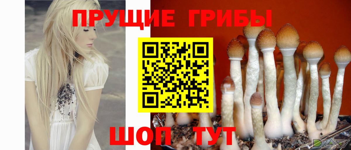 Усинск  Галлюциногенные грибы Cubensis  Вход с VPN 